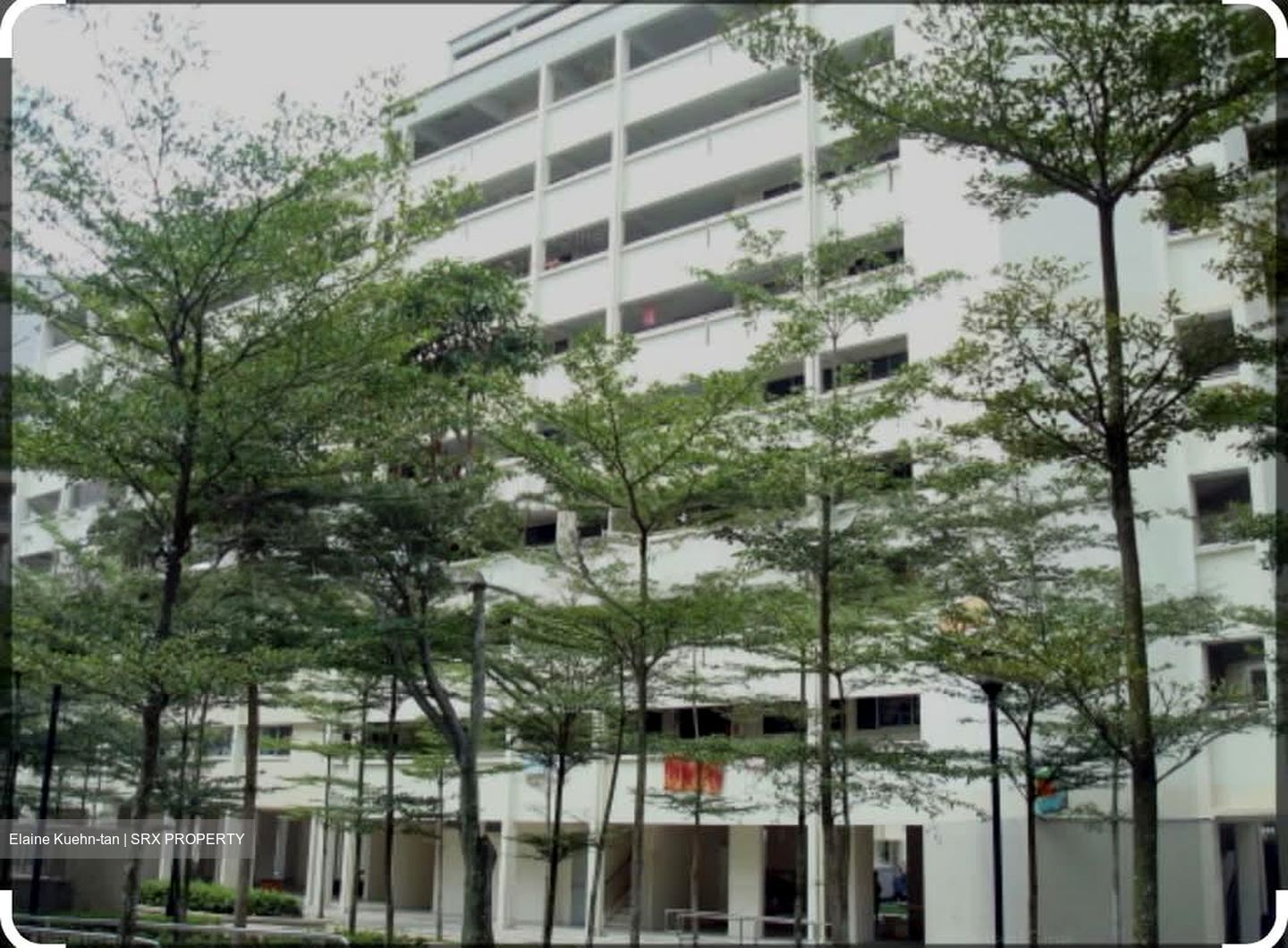 Blk 116 Chong Pang Vale (Yishun), HDB 3 Rooms #587370651